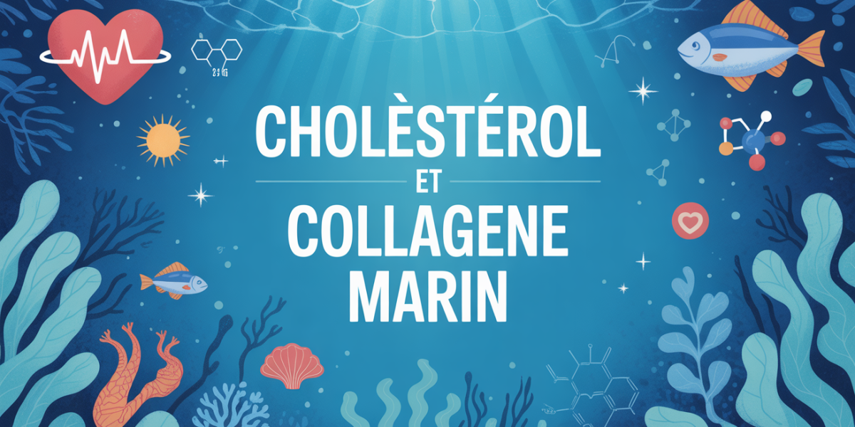 illustration stylisee cholestérol collagène marin mer
